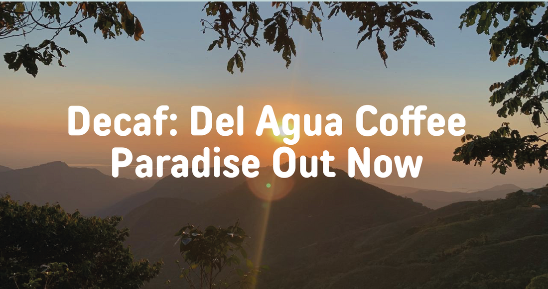 Decaf is the new cool with Del Agua Coffee Paradise