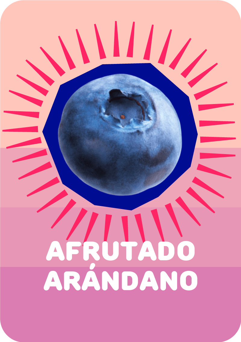 Afrutado Arándano