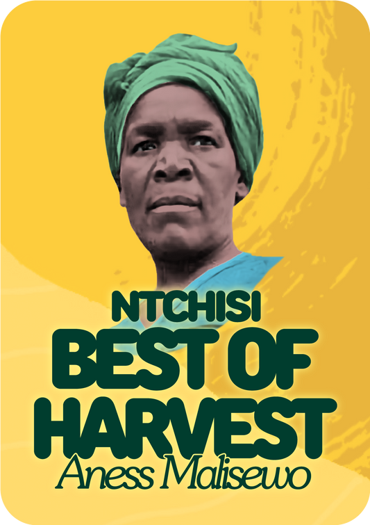 Aness Malisewo Best of Harvest