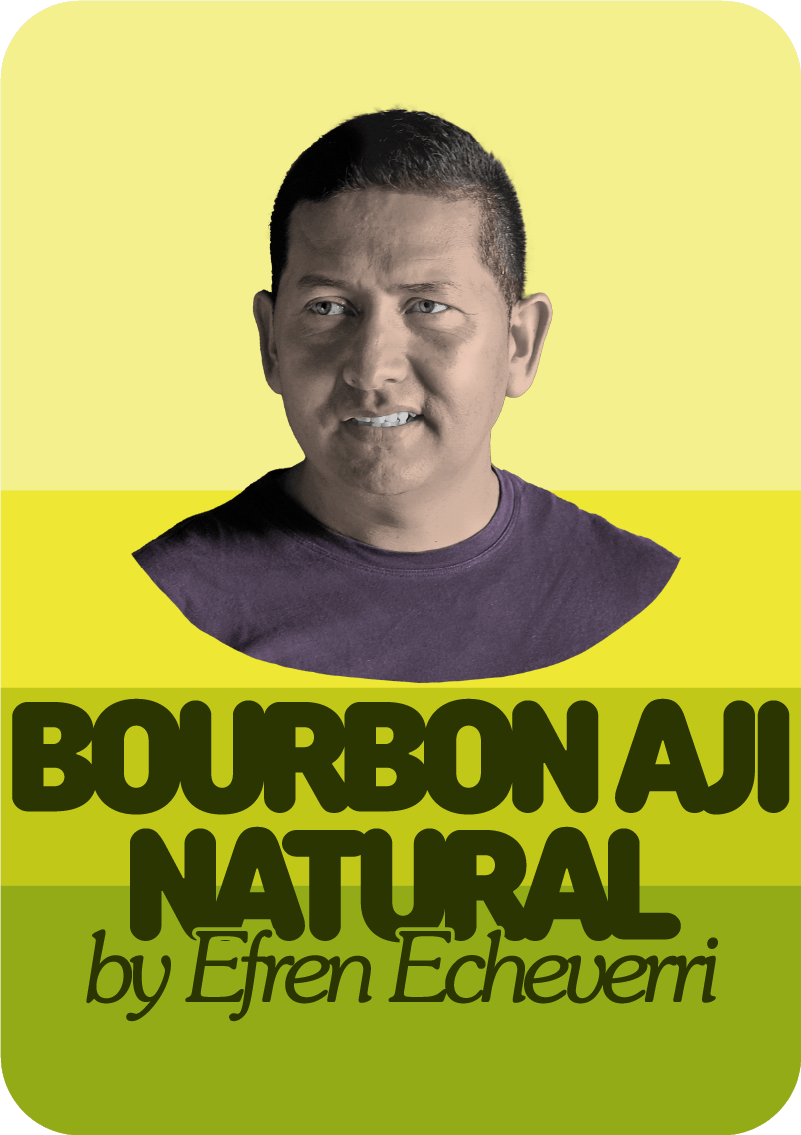 Efren Echeverri Bourbon Aji Natural