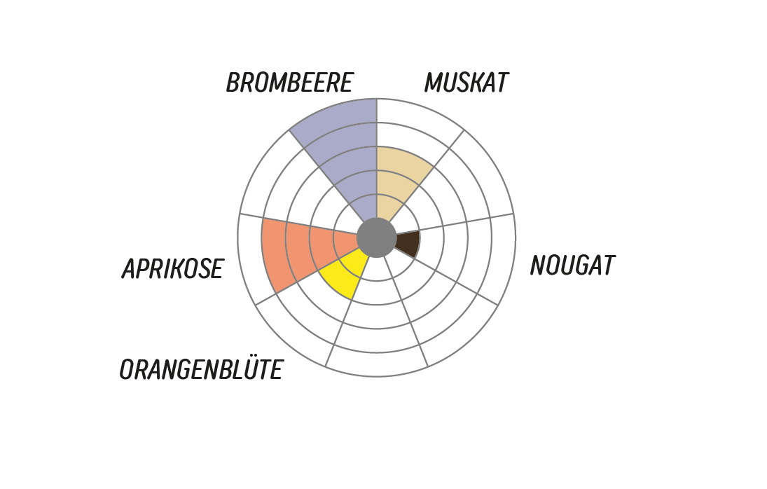 Mundayo AASH Washing Station