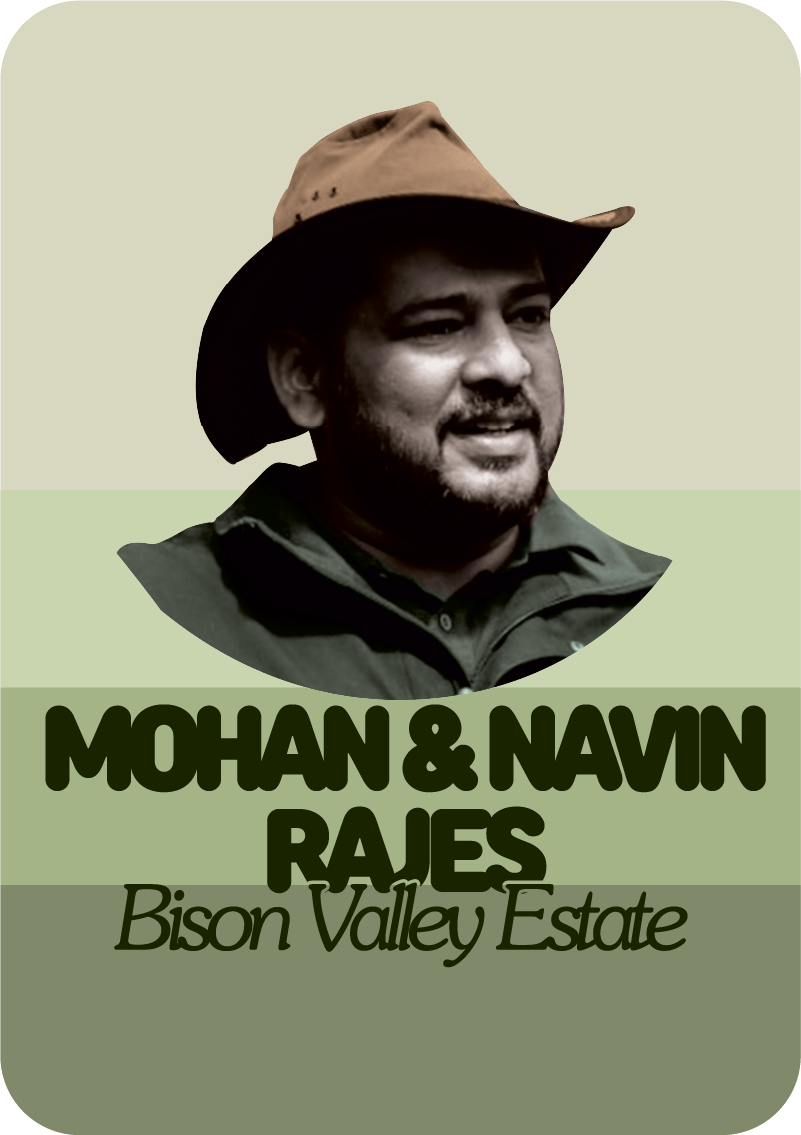 Mohan & Navin Rajes