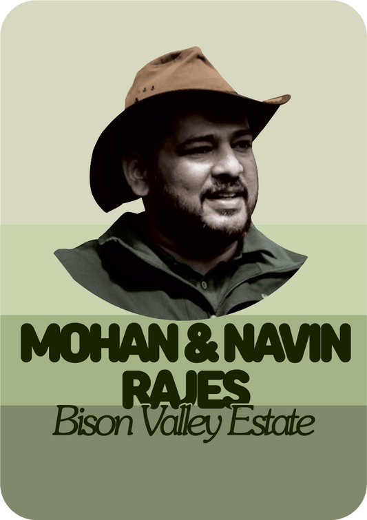 Mohan & Navin Rajes