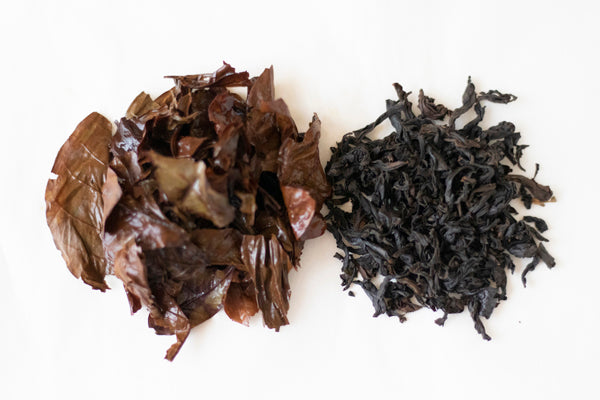 Black Coffee Leaf Tea