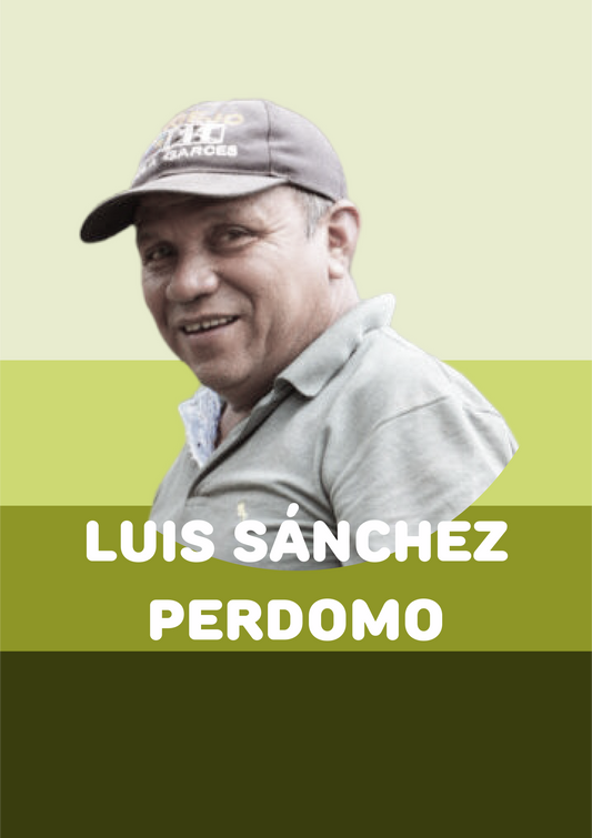 luis-sanchez-perdomo