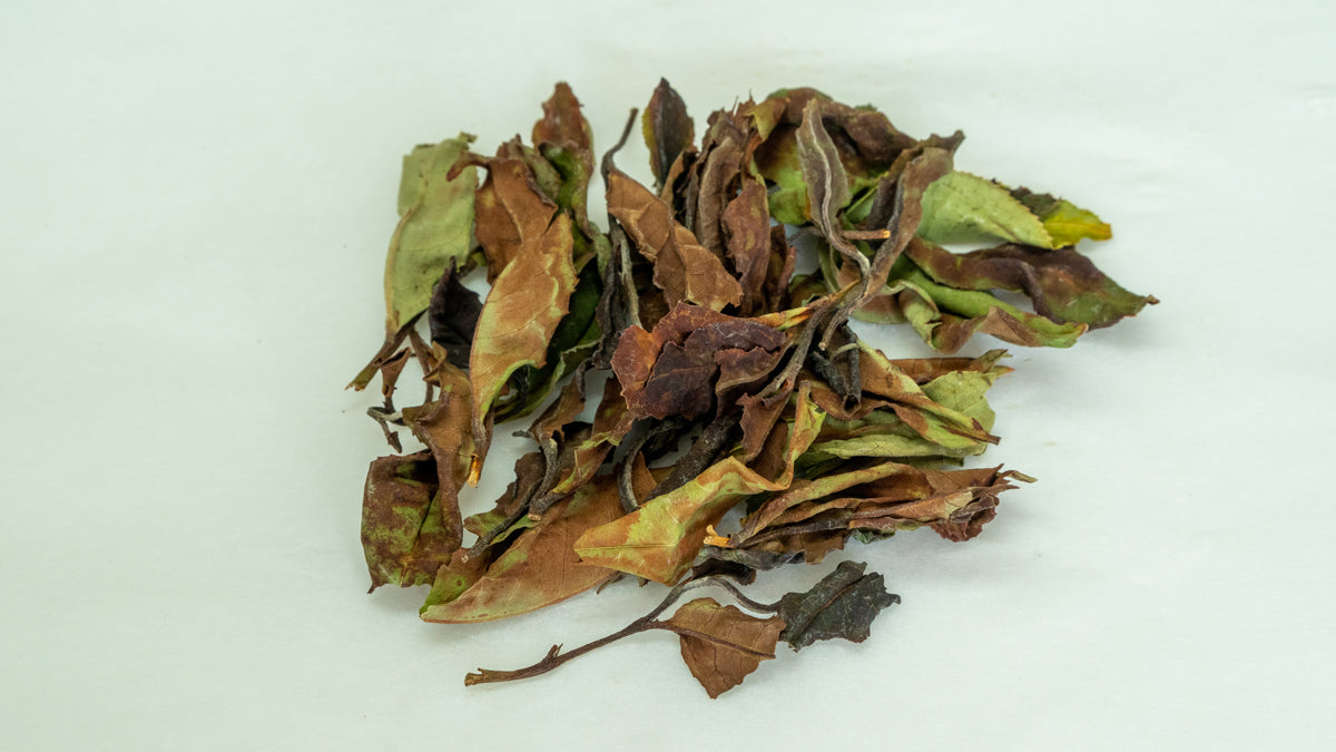 Bvumbwe Peony White Tea